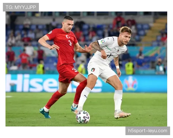 德国球场燃情开战：欧洲杯激战正酣，球迷热情重燃