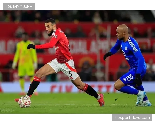 欧洲杯新篇：不败神话点燃各国球队复苏之火